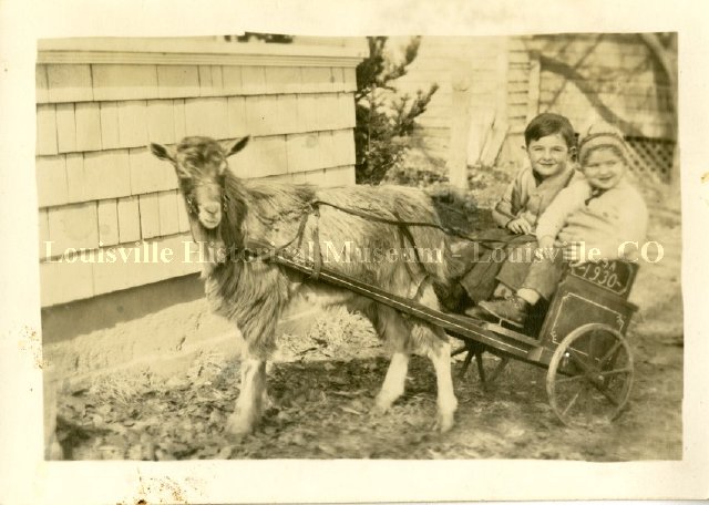 Two children in cart pulled by goat