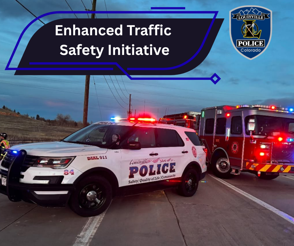 Enhanced Traffic Safety Iniciative