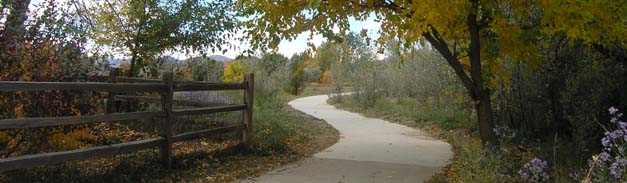 Walnut Trail 100306