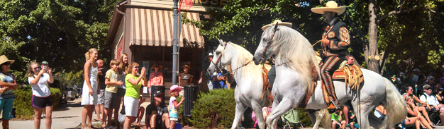 photo of labor day parade with two white horses and crowd cheering